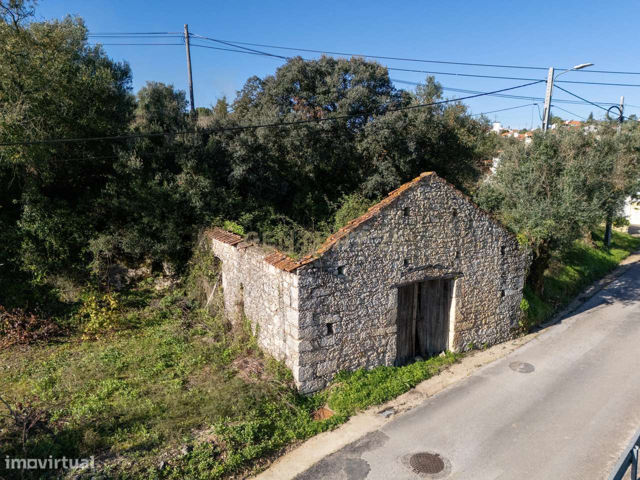 Terreno Urbano com Ruínas e Árvores de Fruto - 2.280m² - Longra, Tomar - Grande imagem: 1/16
