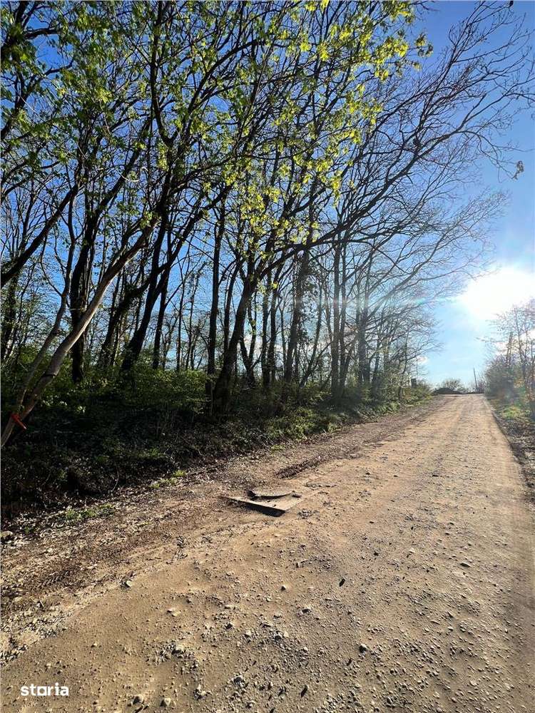 RECO teren de vanzare in zona de Dealuri Oradea - Imagine principală: 2/4