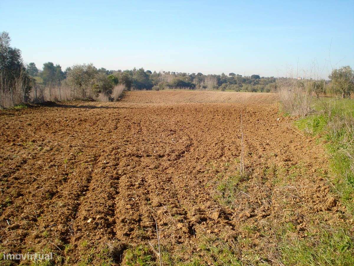 Terreno com 11920 m2 - Grande imagem: 3/18