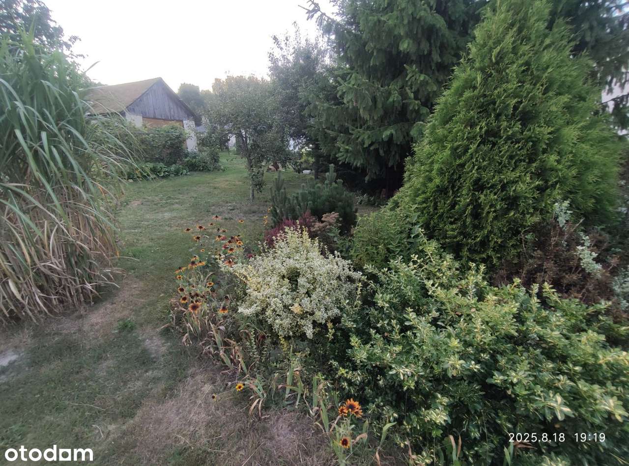 Dom w Wielkiej Wsi gm. Stąporków-7