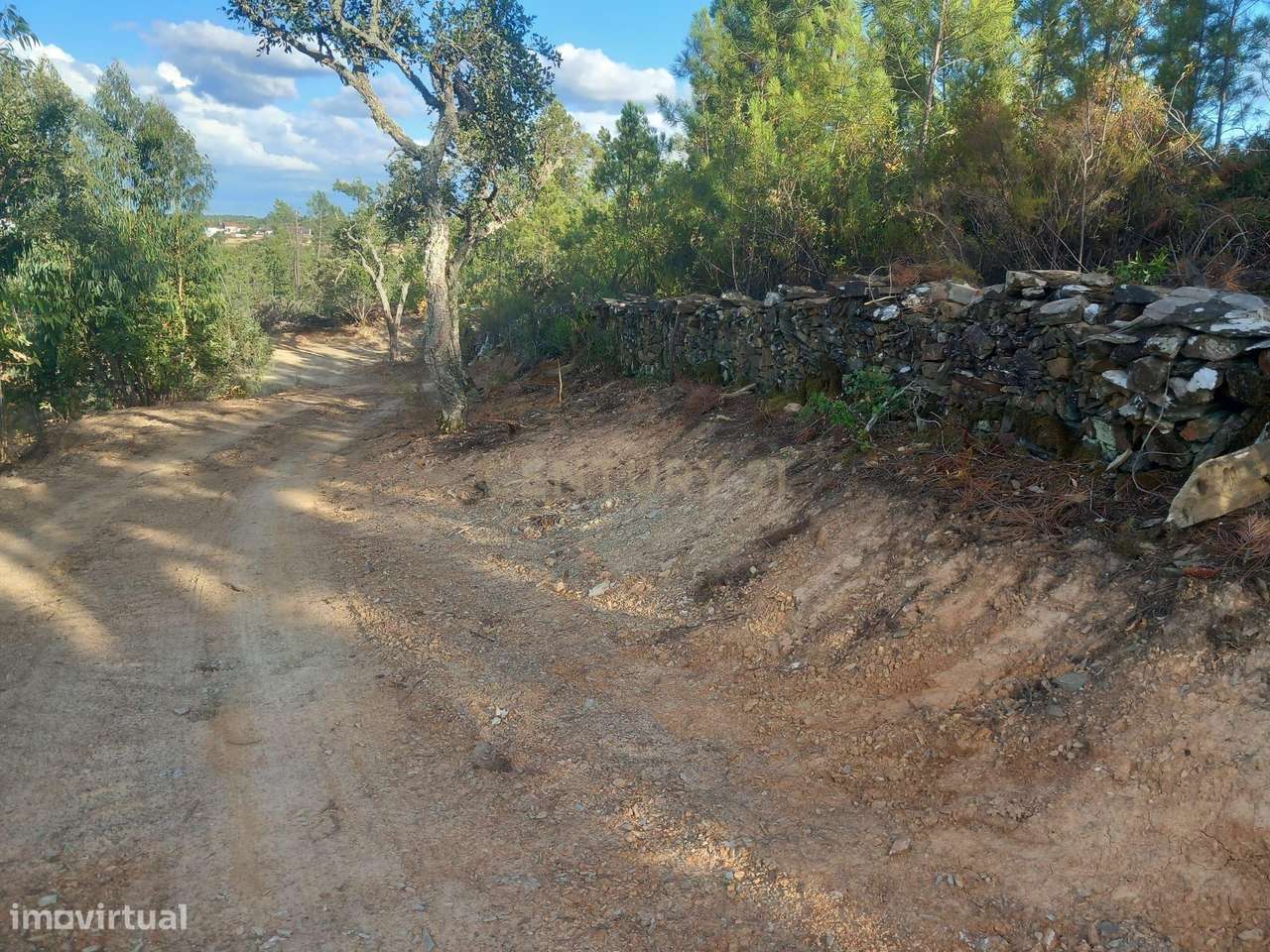 Terreno em Benquerenças, Castelo Branco - 2800m²-9
