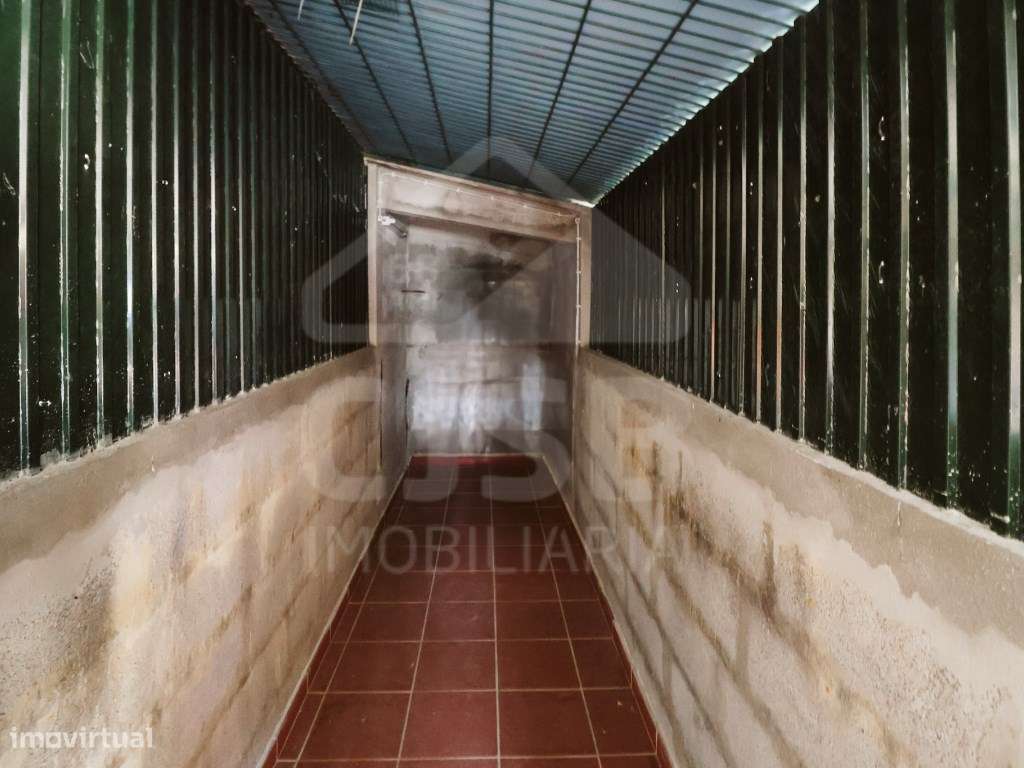 Quinta T5 na Branca-33