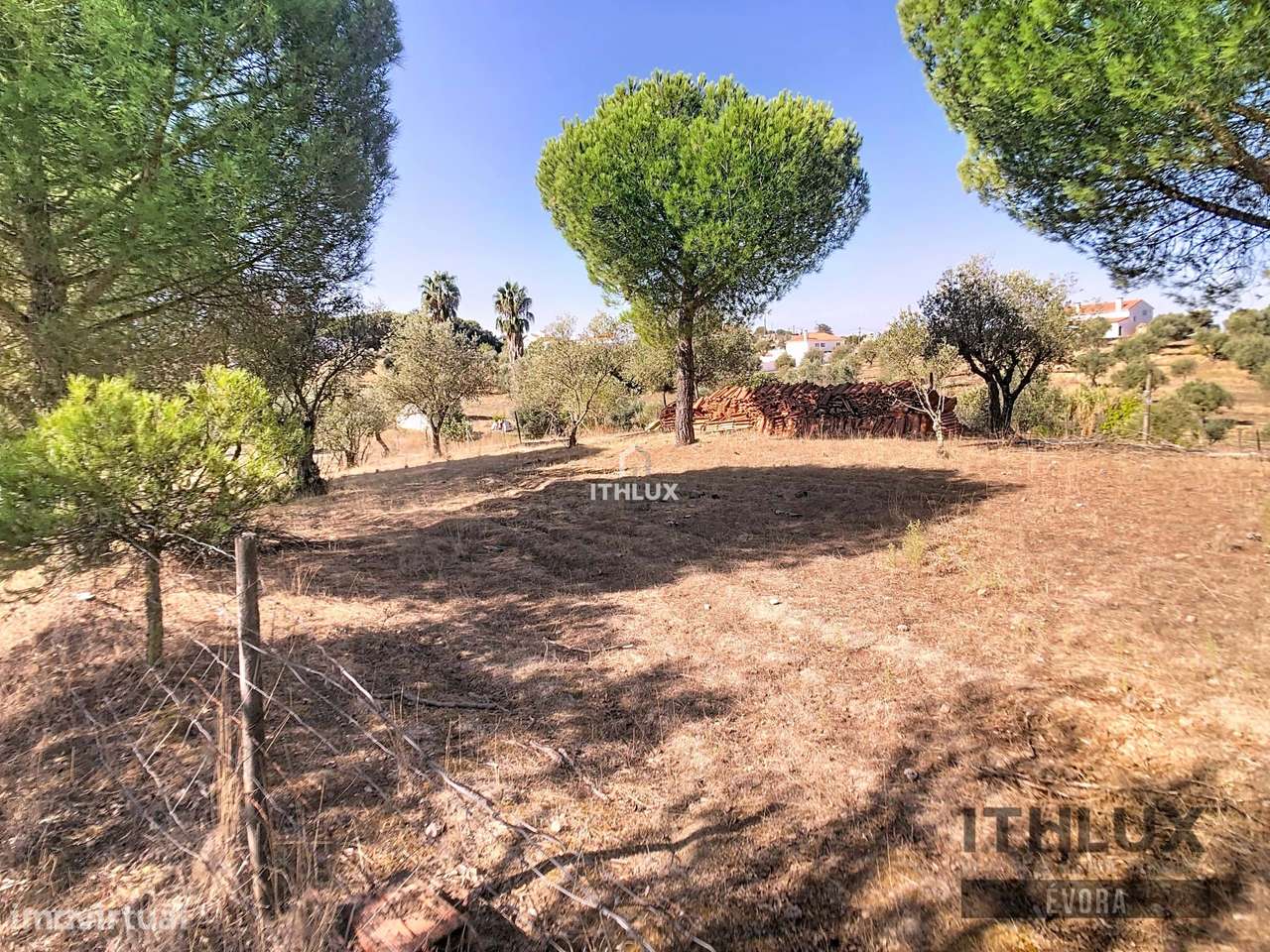 Terreno Rústico c/ arrecadação  - Ciborro - Grande imagem: 5/16