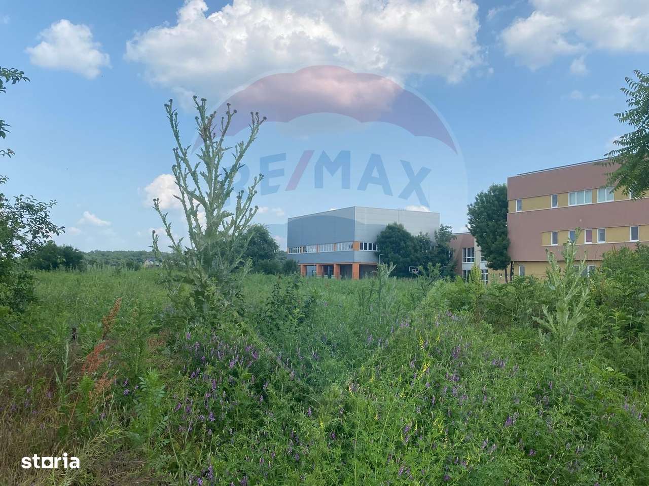 DE VANZARE Teren intravilan 600mp Drumul Piscul Mosului SISESTI-8