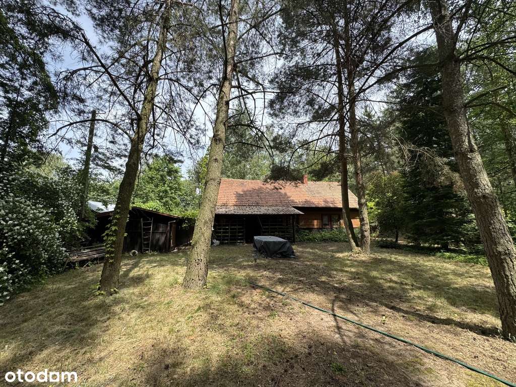 Piękne siedlisko 1645 m2 ze stawem w Błogoszczy - Pełny obrazek: 4/20