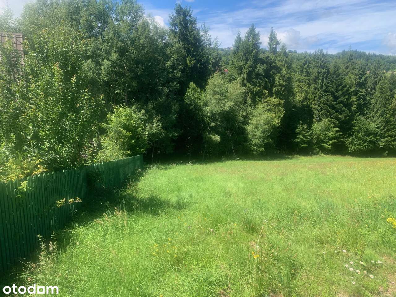Piękne Działki Budowlane w Otoczeniu Lasu-6