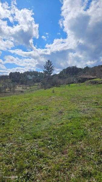 Terreno Frechão 2.2ha - Grande imagem: 5/12