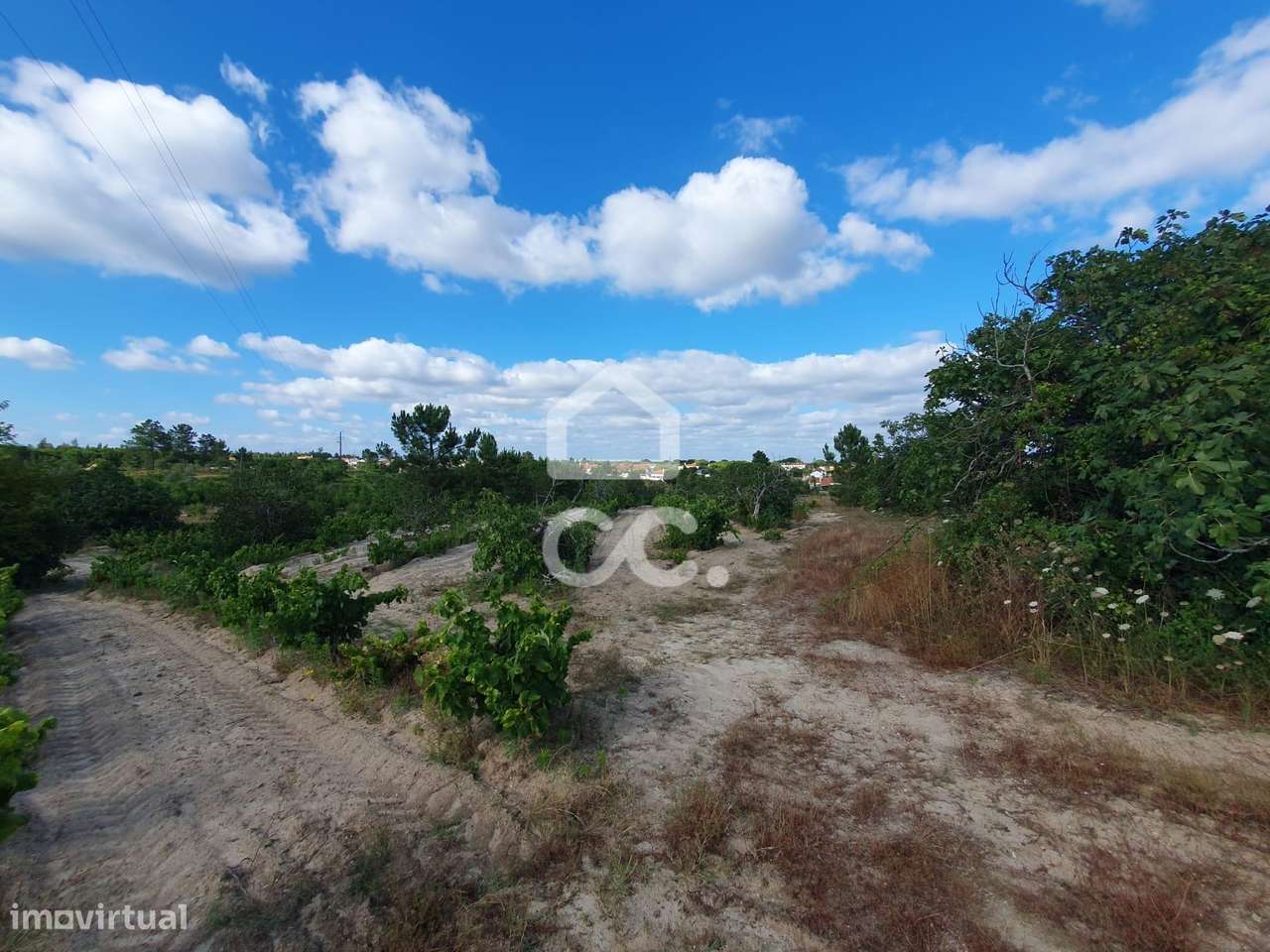 Terreno com 38.830 m² em localização privilegiada em Coruche - Grande imagem: 4/14