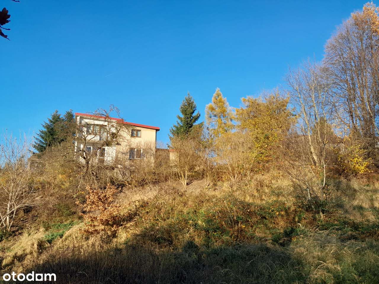 Sprzedam dom w Płazie, z dużą działką ! - Pełny obrazek: 5/19