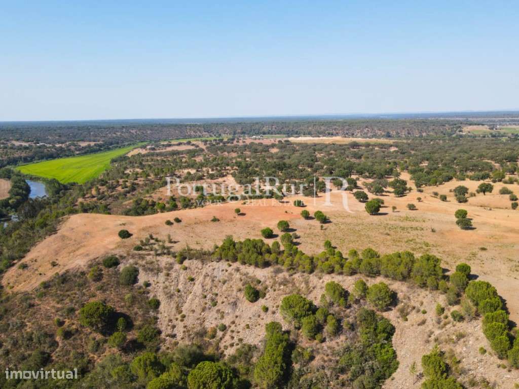 Herdade com 134 hectares em Beja - Grande imagem: 5/50