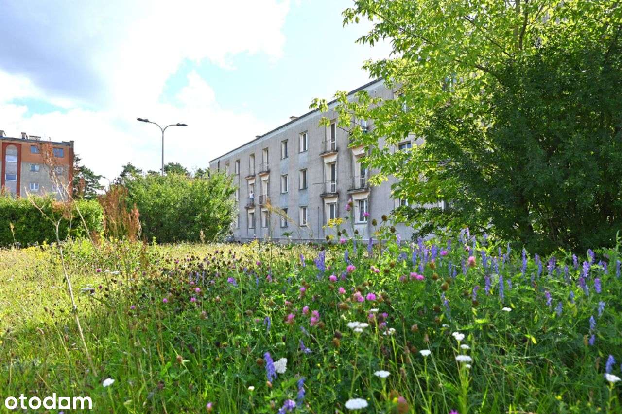 Trzypokojowe mieszkanie na parterze w otoczeniu la-7