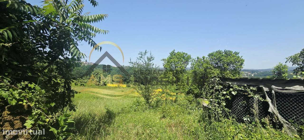 QUINTA A DOIS PAÇOS DA CIDADE COM 2,5ha-21