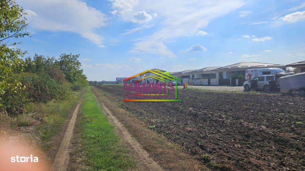 Vanzari Terenuri ILFOV - NORD TUNARI - Imagine principală: 1/1