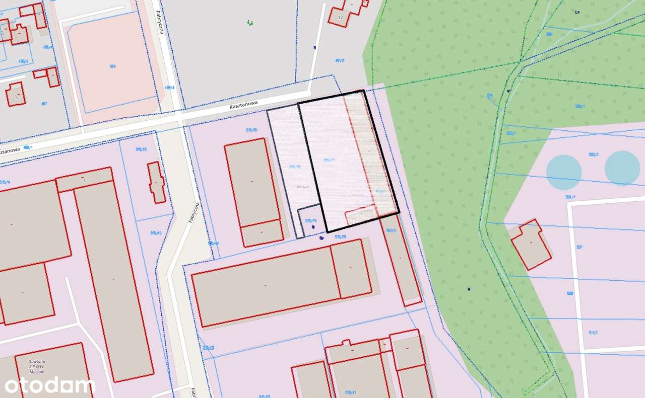 Nieruchomosc Komercyjna Przy Targowisku - Pełny obrazek: 4/11