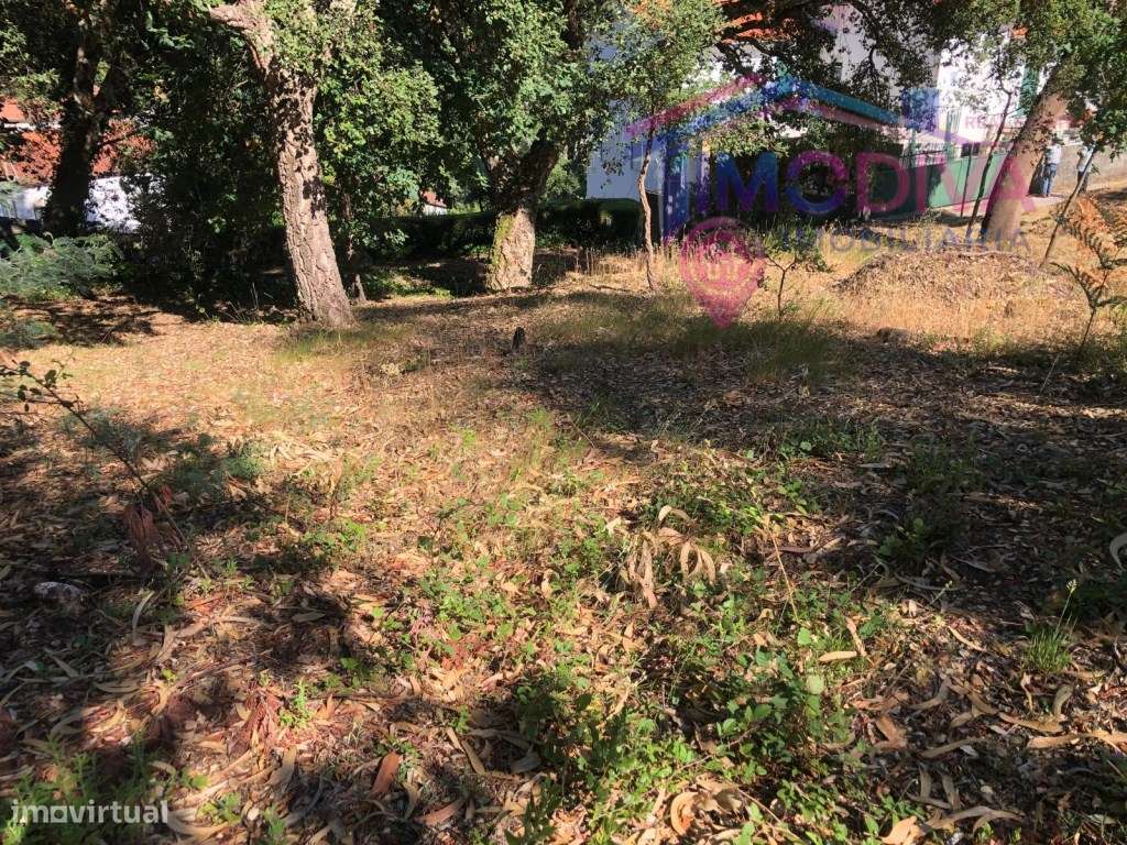 Arrecadação e terreno em Castanheira de Pera-9