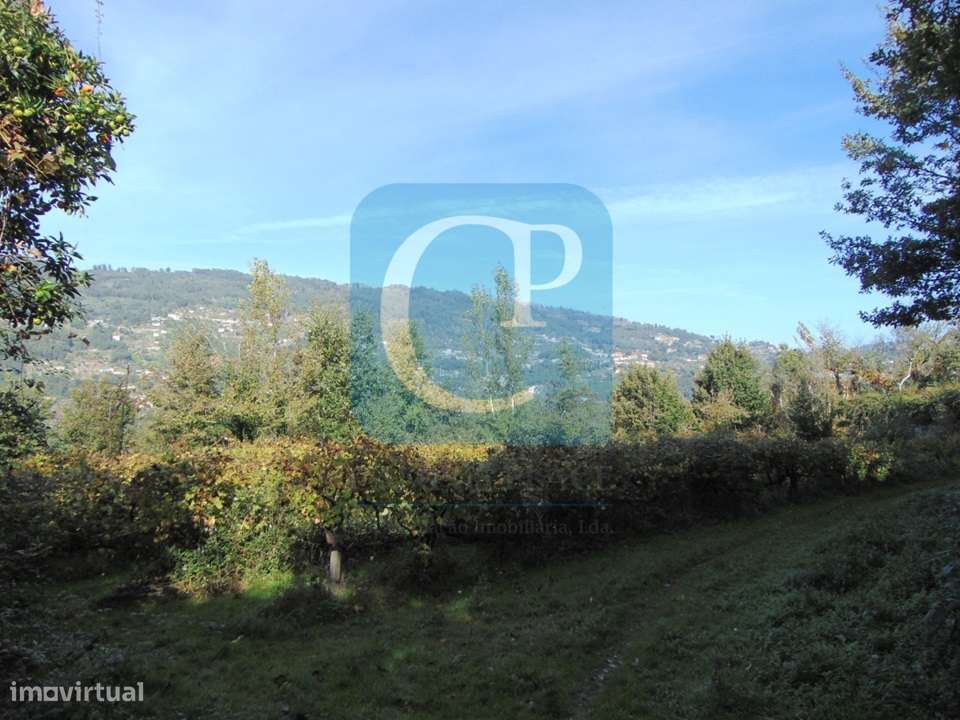 Propriedade em Cinfães do Douro para restauro, Viseu - Grande imagem: 5/17