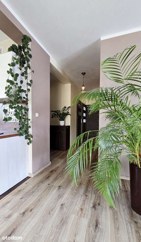 Sprzedam dom w spokojnej lokalizacji - Ciechomice-19