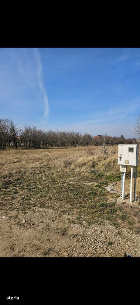 Teren Ciofliceni, comuna Snagov. Str. Stefanita Voda, intravilan - Imagine principală: 3/10