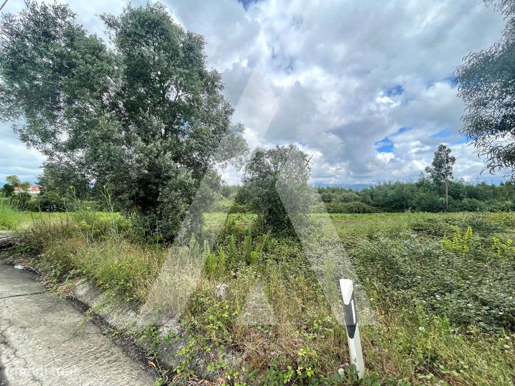 Terreno com projeto aprovado para pavilhão em Albergaria-a-Velha! - Grande imagem: 5/13