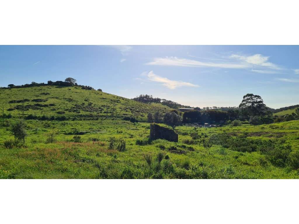 Quinta perto de São Luís - Grande imagem: 3/10