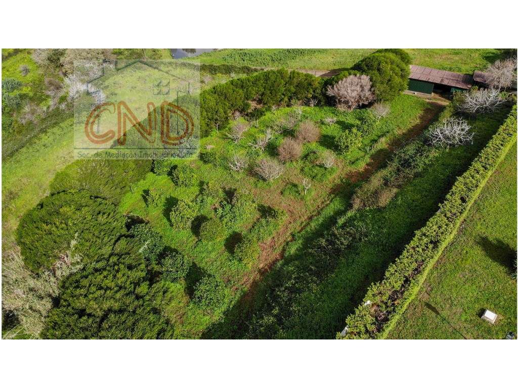 MAFRA - QUINTA, moradia de arquitetura Tradicional- piscina.-32