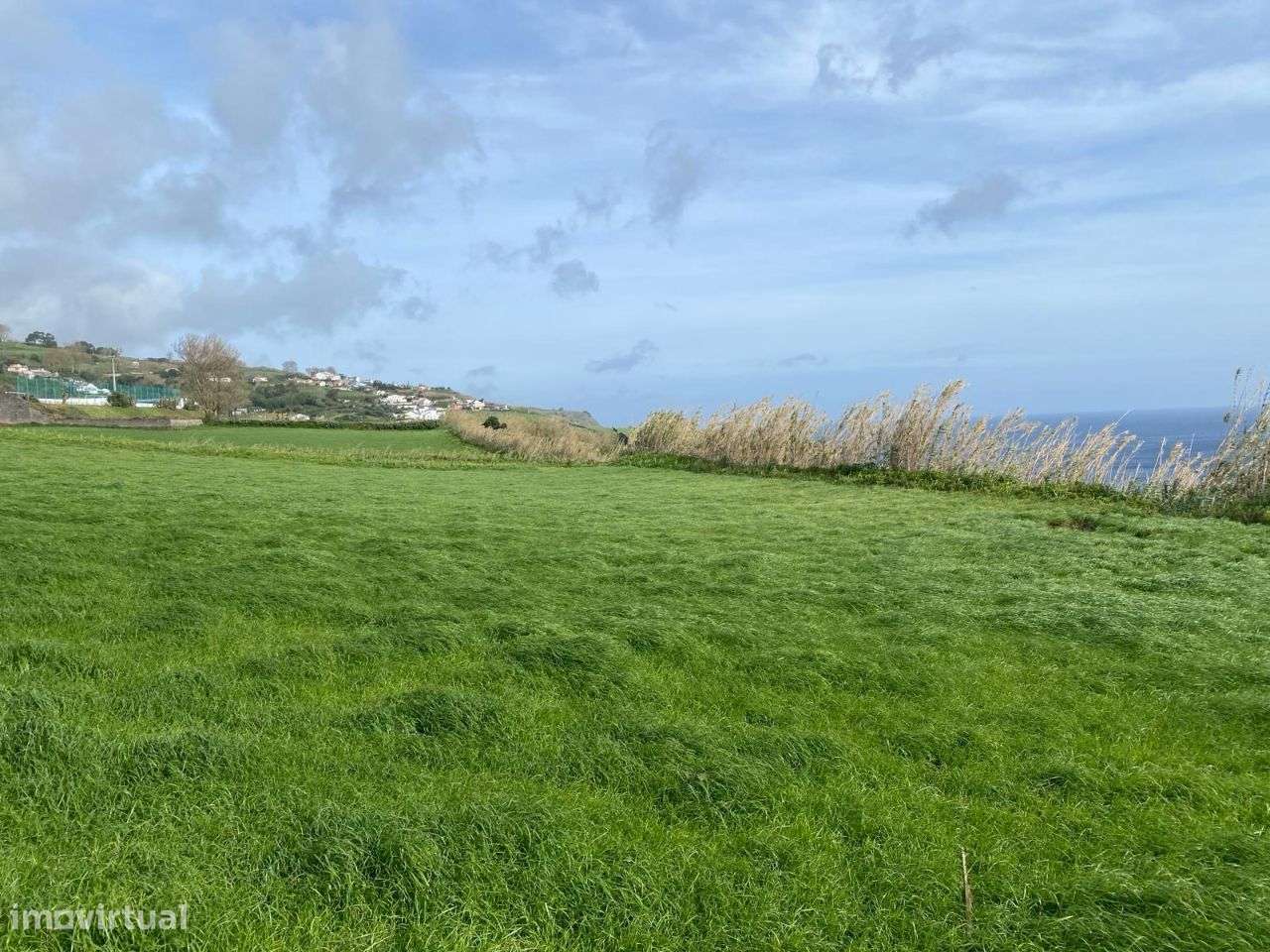 Terreno com vista ao norte de São Miguel, nas Figueiras - Grande imagem: 3/9
