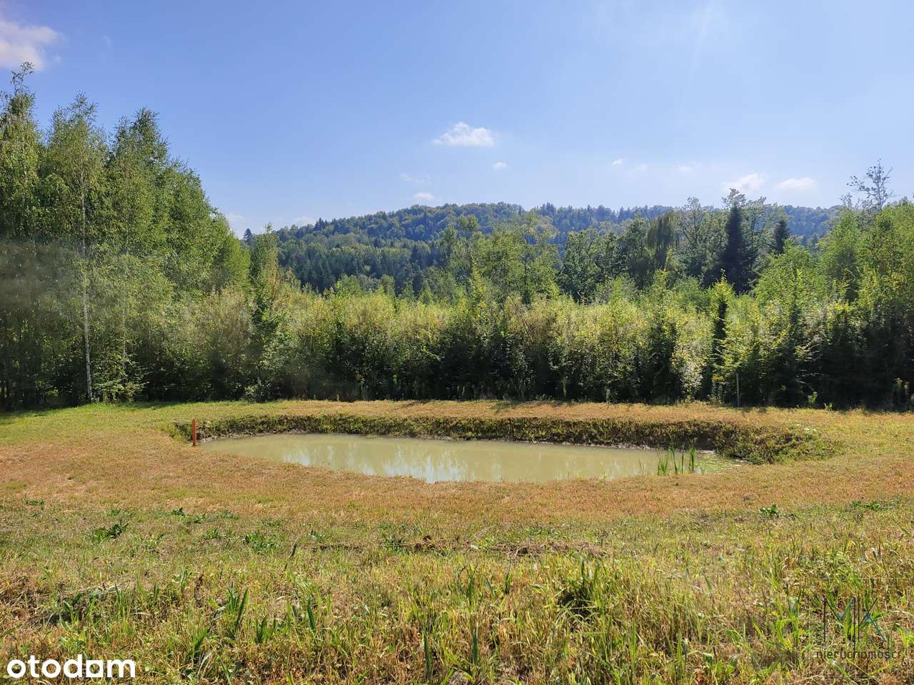 Kobylec, gmina Łapanów – działka budowlana z własnym stawem.-0