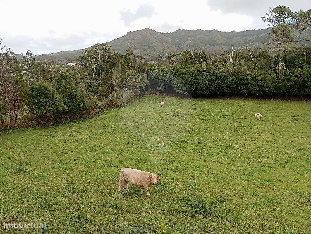 Terreno  para venda-6
