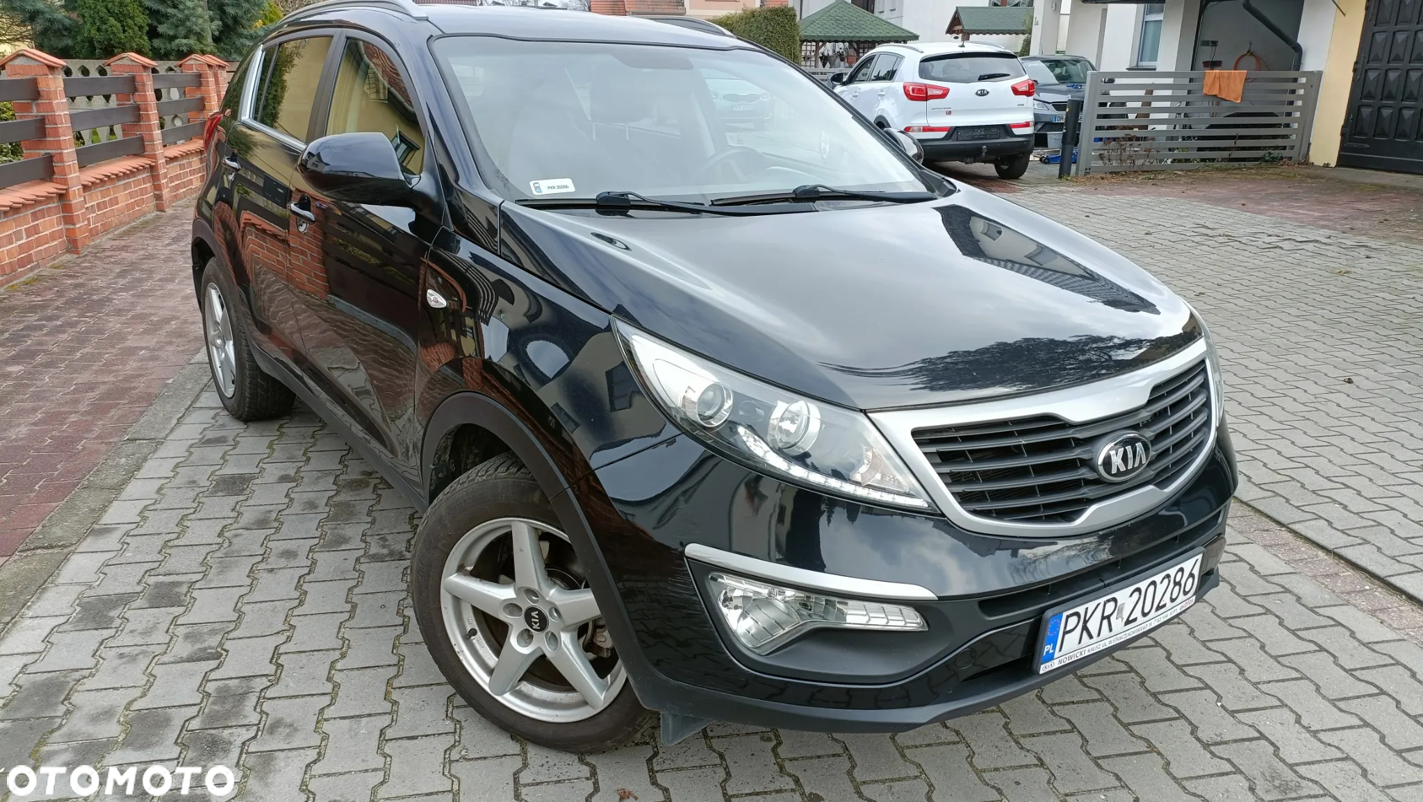 Kia Sportage - 4