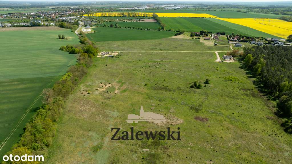 Działki na sprzedaż – Baczyna, przy lesie-4