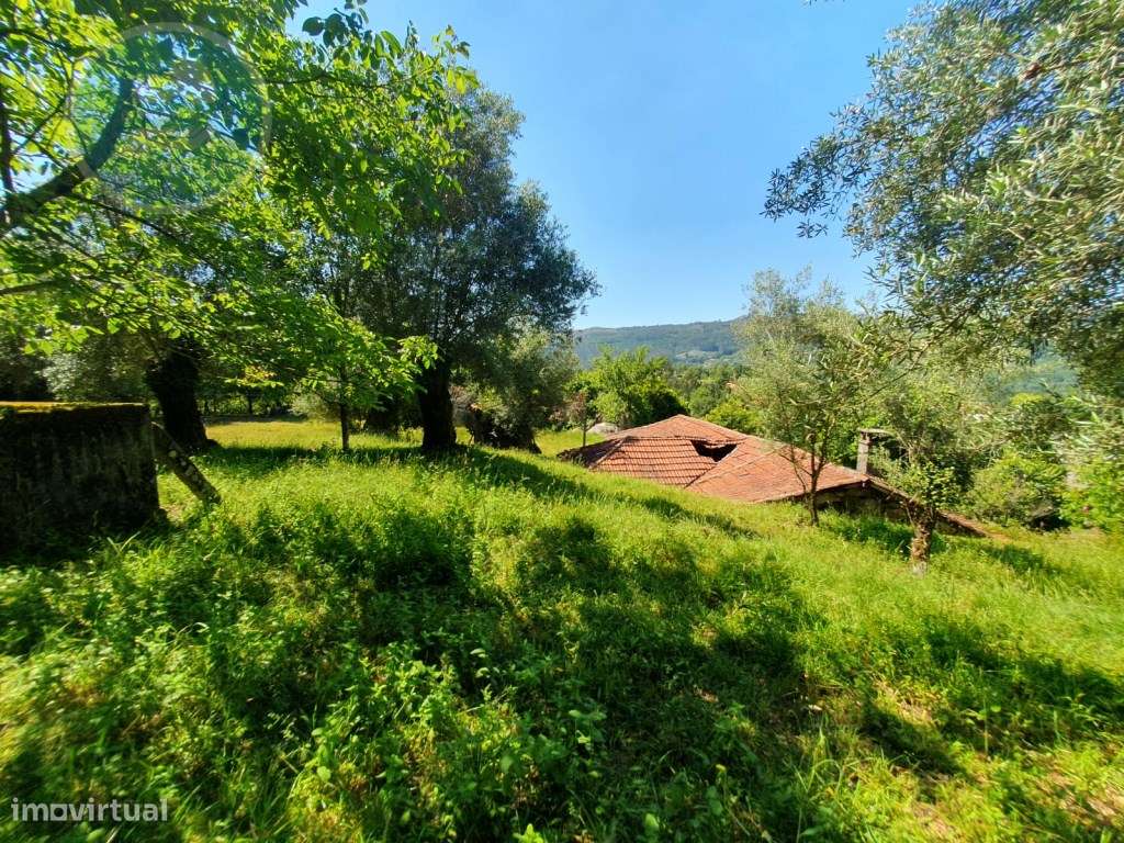 Quinta à venda para restauro em Arroteia freguesia de Rossas-38