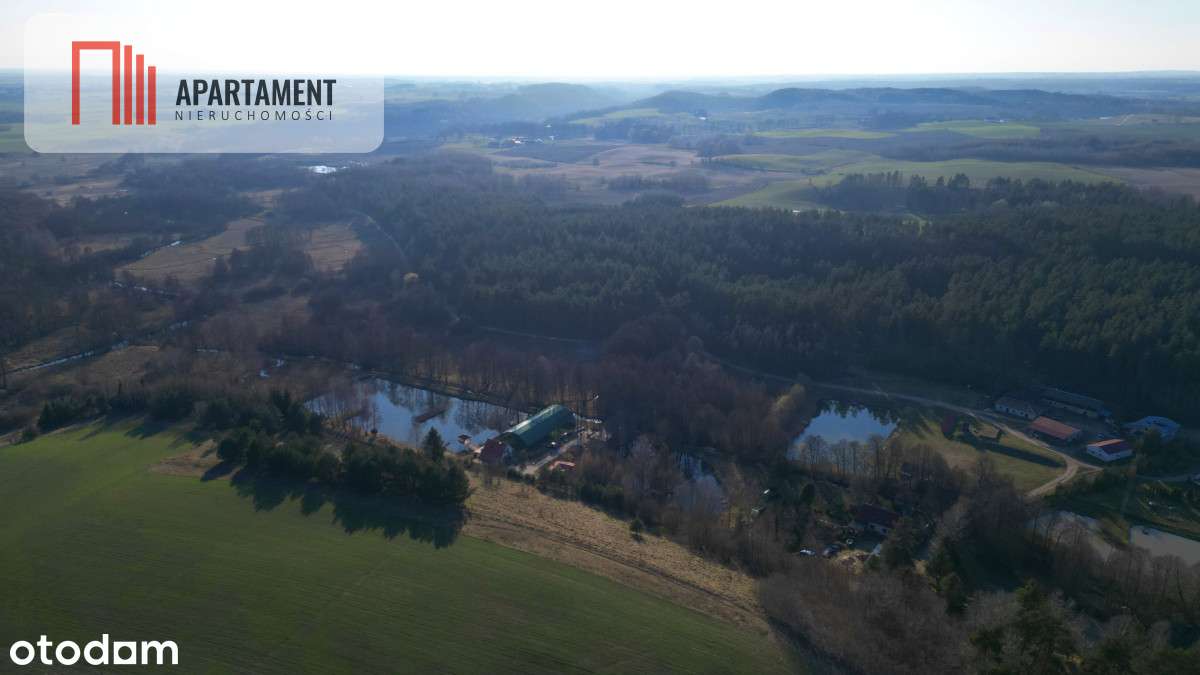 Siedlisko z Wz, blisko trójmiasta - Pełny obrazek: 4/11