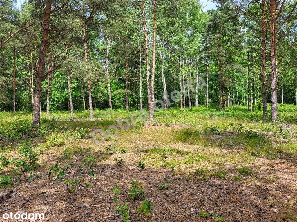 Nowa oferta - dobra cena - miejsce na wypoczynek-8