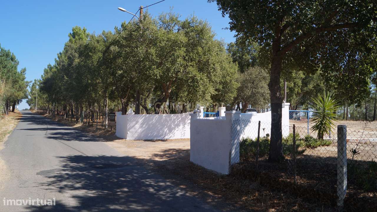 Monte/Terreno-Santiago Cacém, c/Vista Camp0 e Árvores Frutíferas - Grande imagem: 5/36