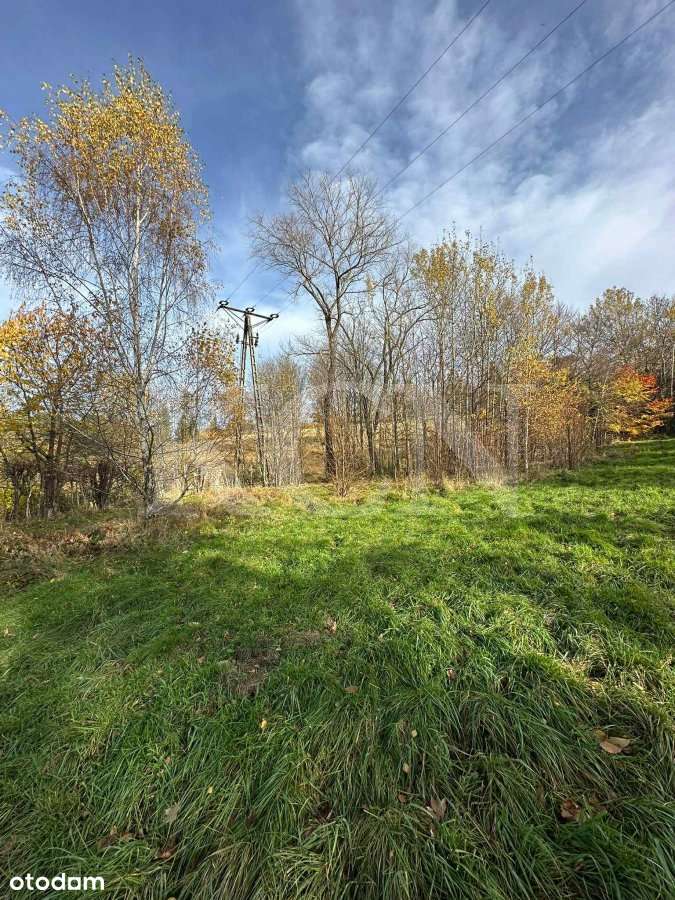 Działka w podgórskiej miejscowości Świeradów Zdrój-4