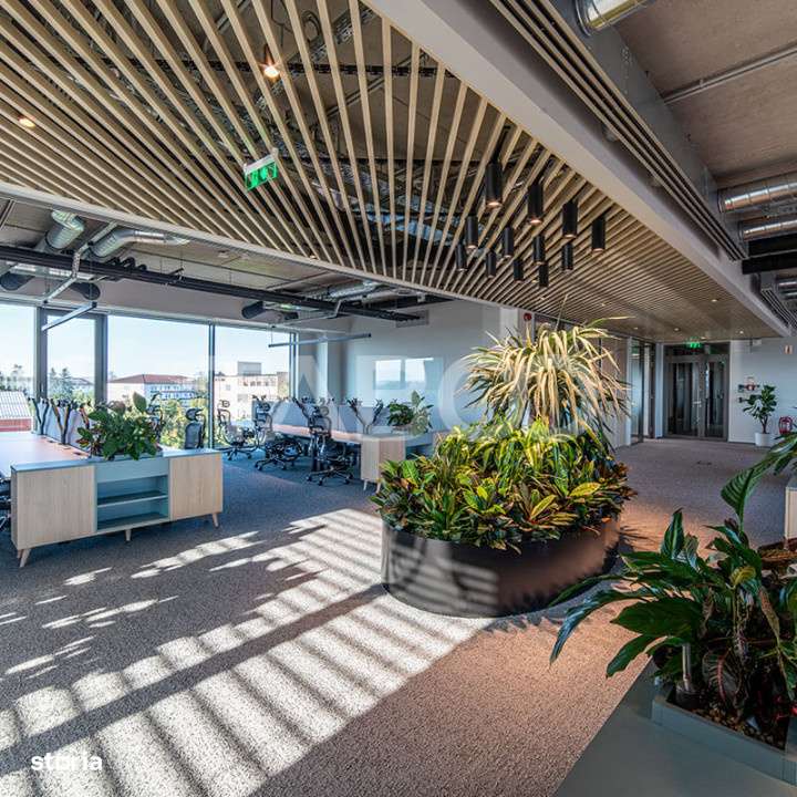 Birouri premium in Sibiu–Spatii flexibile moderne pentru companii TO - Imagine principală: 2/17