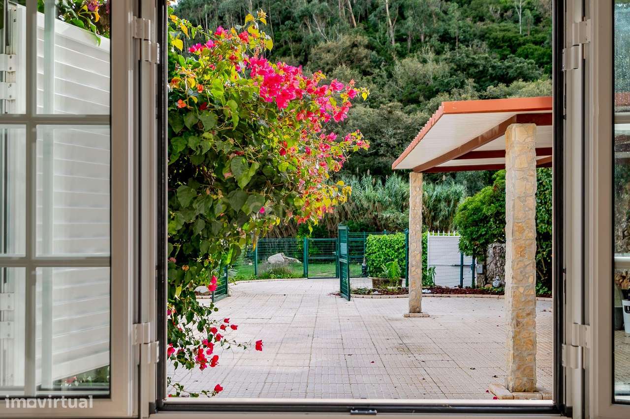 Moradia T4 com 5000m2 de Terreno - "Quinta do Sol"-17