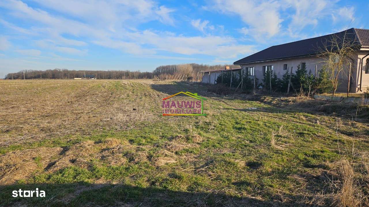 Vanzari Terenuri ILFOV - SUD VARTEJU-2