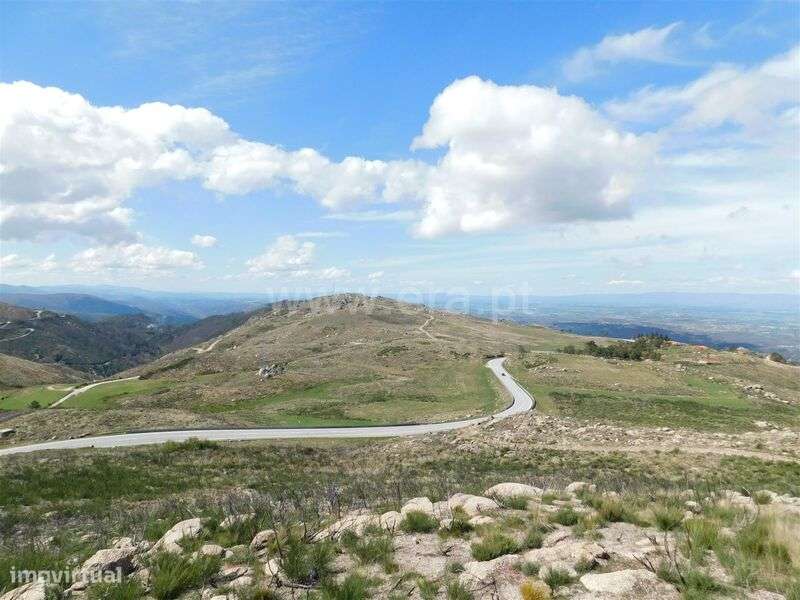 Terreno / Seia, Seia - Grande imagem: 2/7