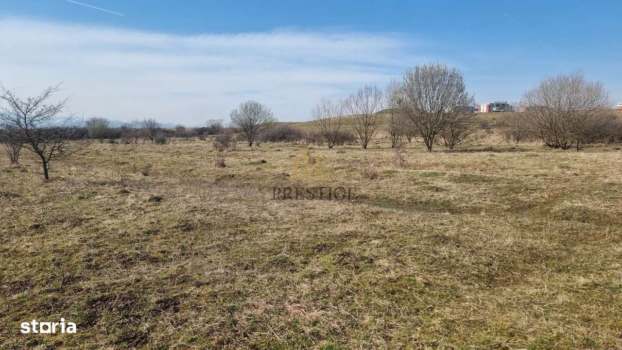 FĂRĂ COMISION | TEREN 1000 MP ȘELIMBĂR ZONA TROIȚĂ | INVESTIȚIE-9