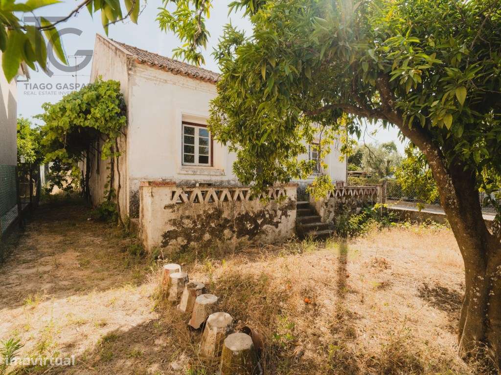 Moradia para recuperar - lote de 808 m² - Casa Branca, Abrantes-19
