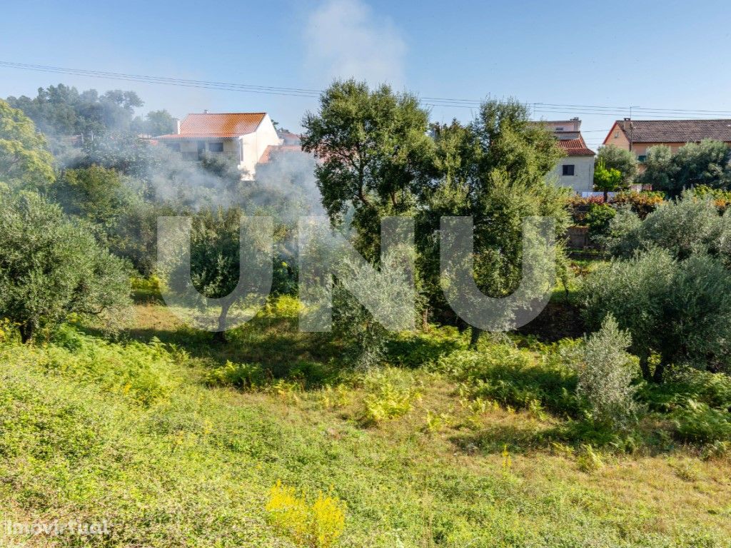 TERRENO RÚSTICO COM VIABILIDADE DE CONSTRUÇÃO NO DOMINGUI...