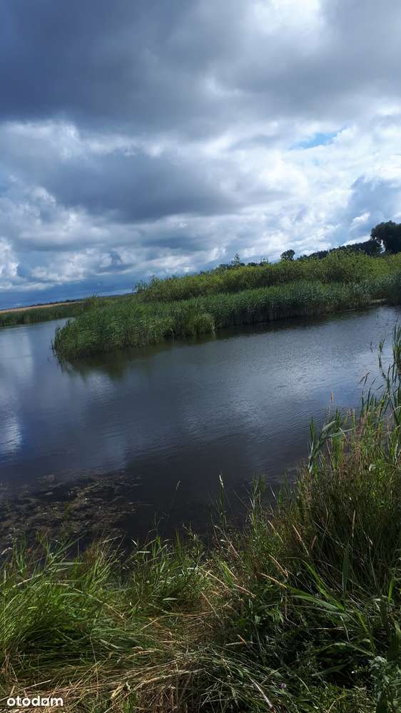 Działka rolna na sprzedaż, świetna lokalizacja!-4