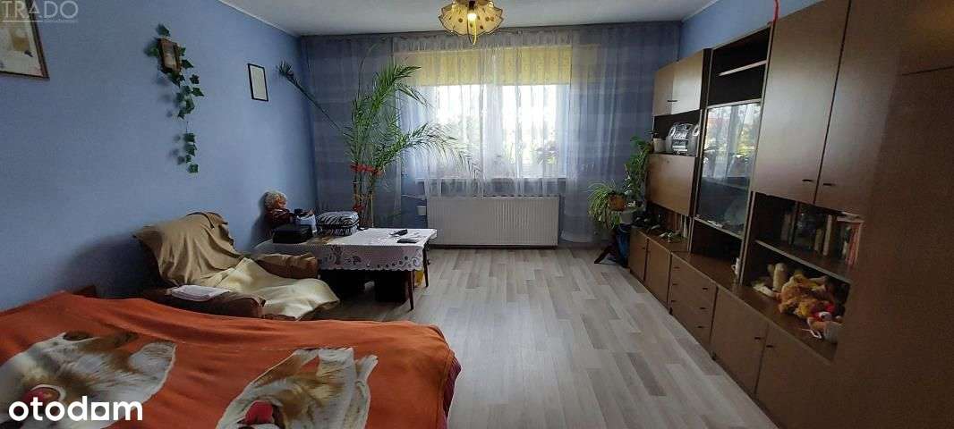 Gospodarstwo 5,72 ha Góraj gm. Babiak-11