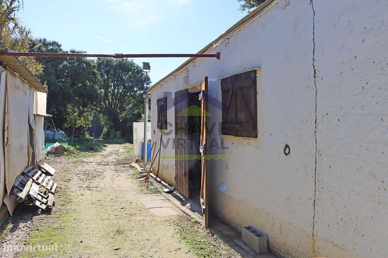 Magnífica Quinta c/ 10.490 m2 Concelho Cadaval-26