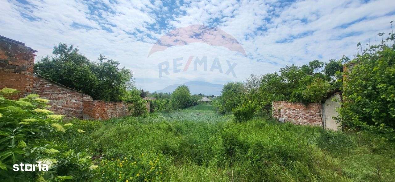 Teren Aradul Nou–2.311mp cu livadă și utilități, ideal pentru locuinte - Imagine principală: 4/13