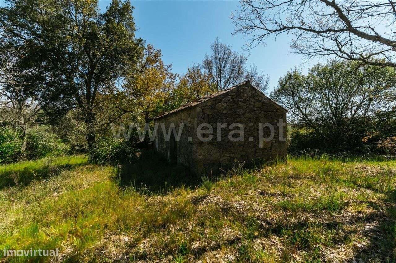 Terreno com ruina / Fundão, Pêro Viseu - Grande imagem: 5/14