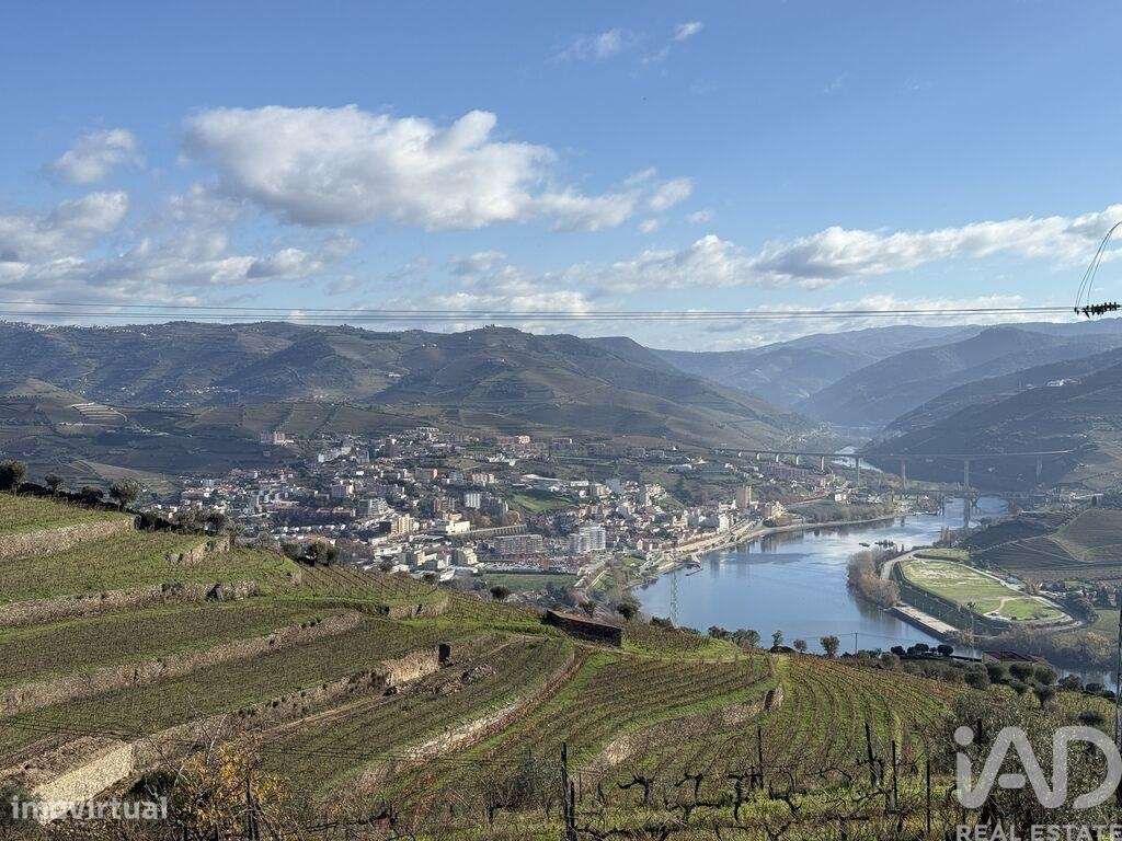 Casa / Villa T4 em Galafura e Covelinhas de 706,00 m2 - Grande imagem: 4/26