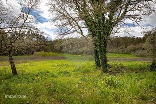 Terreno  para venda - Grande imagem: 3/21