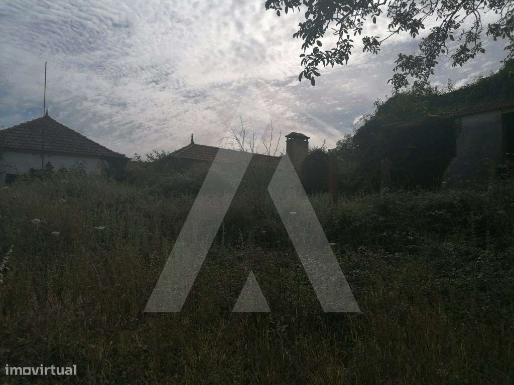 Terreno com moradia T2 para reabilitar, em Alquerubim - Grande imagem: 5/9